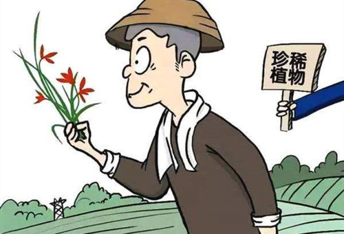植物保護專業(yè)就業(yè)方向有哪些？