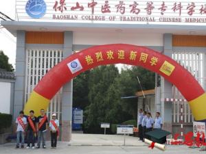 保山中醫(yī)藥高等專科學(xué)校怎么樣 評價排名好不好(10條)