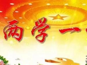 兩學一做專題教育黨課學習材料發(fā)言講話稿