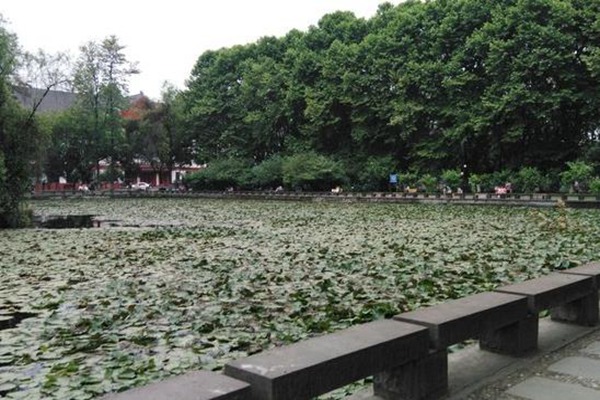 延邊大學怎么樣 評價排名好不好(10條)