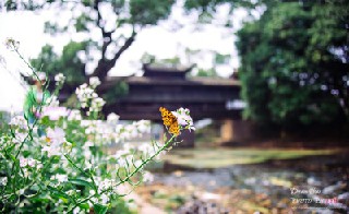 2021年成都華商理工職業(yè)學校春季招生簡章