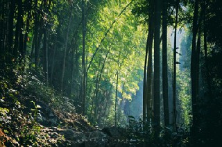 成都華商理工職業(yè)學(xué)校2021年分數(shù)線多少