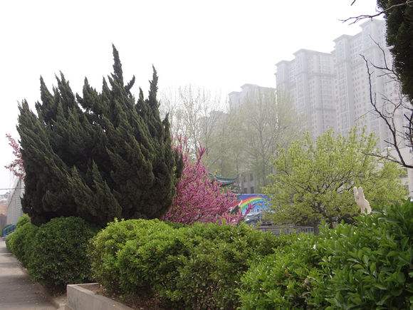 煙臺(tái)天虹學(xué)院春季高考的優(yōu)勢(shì)？