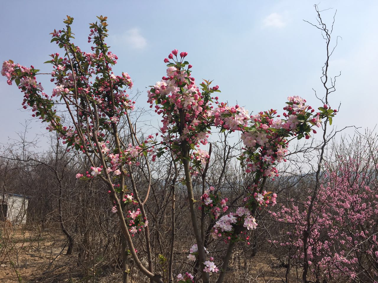 高職單招你考慮了嗎？到底值不值得考？