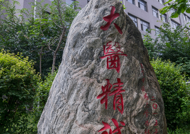 遼寧中醫(yī)藥大學(xué)怎么樣 評價(jià)排名好不好(10條)
