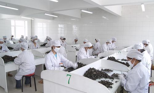 煙臺哪里能學(xué)農(nóng)副產(chǎn)品加工專業(yè)？