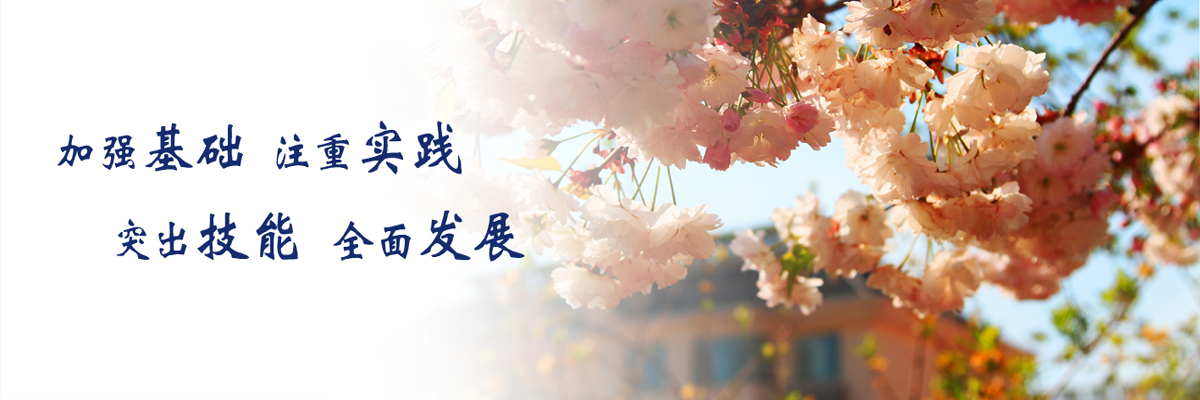 山東工業(yè)技師學(xué)院:傳一技之長(zhǎng) 育大國(guó)工匠