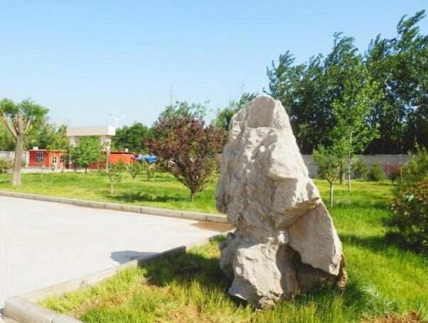 濟南齊光科技衛(wèi)校地址在哪？報道需要帶什么？