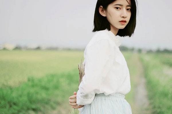 2021年石家莊鐵路職業(yè)技術(shù)學(xué)院單招專業(yè)分?jǐn)?shù)線統(tǒng)計