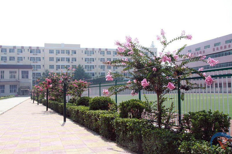 去臨沂藝術(shù)學(xué)校學(xué)舞蹈專業(yè)好嗎？