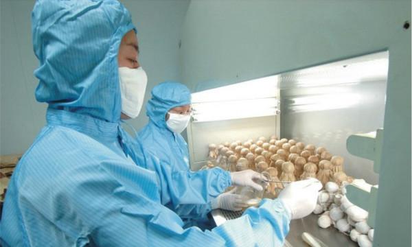 山東生物制藥學校哪家好