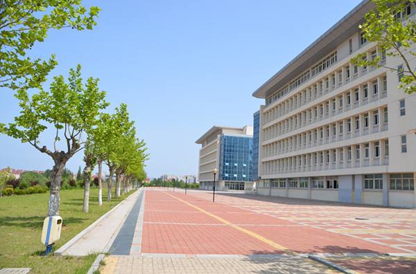 山東省城市服務(wù)技術(shù)學(xué)院有哪些培養(yǎng)層次？