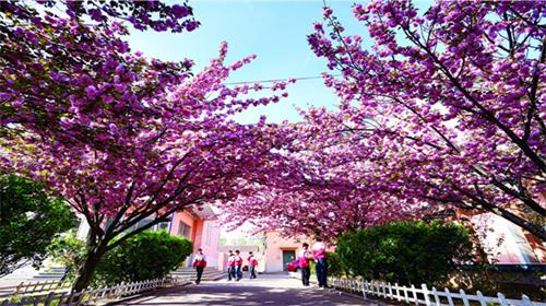 山東華德職業(yè)中等專業(yè)學(xué)校升學(xué)和就業(yè)有保障嗎？