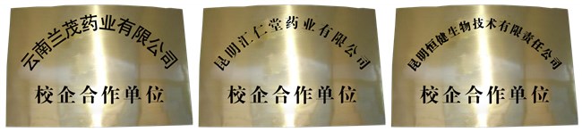 2024年昆明正規(guī)?？? /></center></p>
<p>
	專業(yè)設(shè)置</p>
<p>
	學(xué)院的專業(yè)設(shè)置瞄準(zhǔn)云南省重點發(fā)展的產(chǎn)業(yè)板塊，瞄準(zhǔn)滇中產(chǎn)業(yè)新區(qū)現(xiàn)有和未來行業(yè)及產(chǎn)業(yè)的發(fā)展方向，也關(guān)注云南能投集團的產(chǎn)業(yè)布局，反映產(chǎn)業(yè)對核心技術(shù)技能人才的質(zhì)量、水平和規(guī)格的要求。專業(yè)設(shè)置以理工類專業(yè)為主，逐步增設(shè)土建、水利、制造、電子信息、材料能源、交通運輸、財經(jīng)等大類專業(yè)，并根據(jù)經(jīng)濟與社會發(fā)展對人才的需求，結(jié)合學(xué)院實際，及時調(diào)整專業(yè)設(shè)置?，F(xiàn)開設(shè)有建筑測量技術(shù)、建筑工程技術(shù)、工程造價、城市軌道交通機電技術(shù)、城市軌道交通運營管理、城市軌道交通車輛技術(shù)、軟件技術(shù)、大數(shù)據(jù)技術(shù)與應(yīng)用、移動應(yīng)用開發(fā)、旅游管理、幼兒健康與發(fā)展等12個專業(yè)。</p>
<p>
	云南理工職業(yè)學(xué)院將“新工科、新職教、國際化成就新理工”作為目標(biāo)與路徑，將其打造成為學(xué)院的鮮明特色。突出“新職教”這個類型特征，既區(qū)別于“復(fù)旦共識”“天大行動”的本科適應(yīng)性，又將“新工科”的專科特色充分突顯出來。按“國際化”要求人才培養(yǎng)質(zhì)量對標(biāo)國際標(biāo)準(zhǔn)，培養(yǎng)國際化人才，服務(wù)于“一帶一路”倡議，為相關(guān)國家培養(yǎng)人才。</p>
<p>
	<img alt=